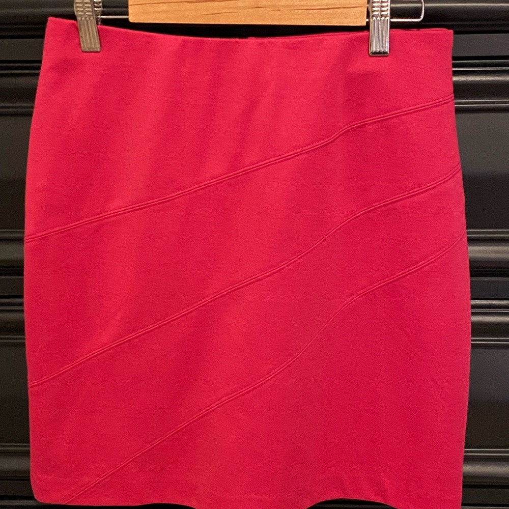 Elegant Red Women's Skirt